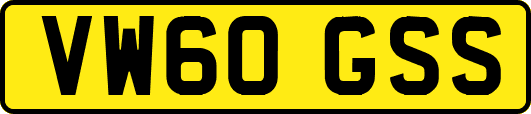 VW60GSS