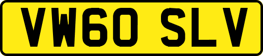 VW60SLV