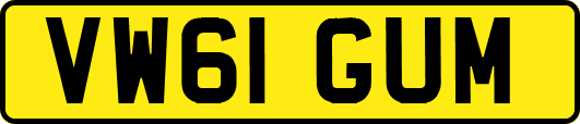 VW61GUM