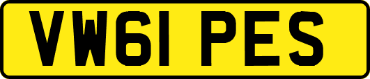 VW61PES