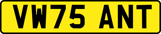 VW75ANT