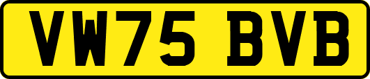 VW75BVB