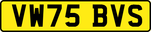 VW75BVS