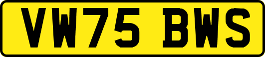 VW75BWS