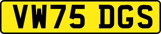 VW75DGS