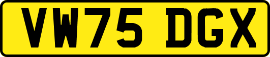 VW75DGX