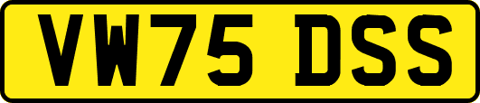 VW75DSS