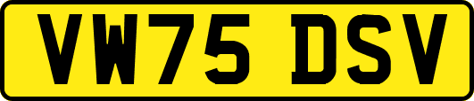 VW75DSV