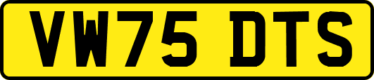VW75DTS