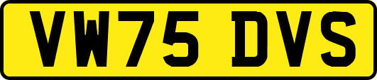 VW75DVS