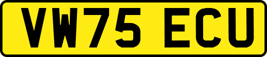 VW75ECU