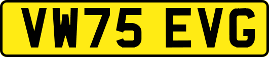 VW75EVG