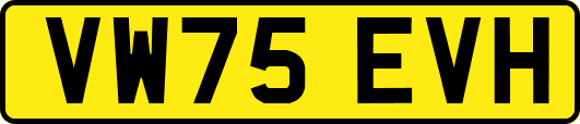 VW75EVH