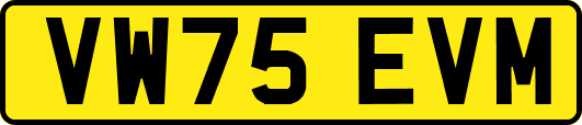 VW75EVM
