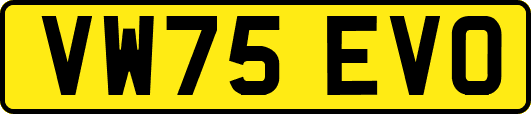 VW75EVO