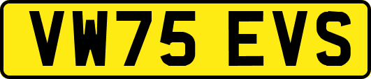 VW75EVS