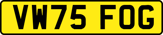 VW75FOG
