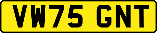 VW75GNT