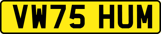 VW75HUM