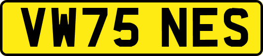 VW75NES