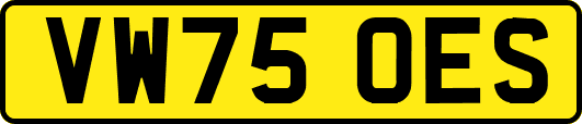 VW75OES