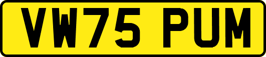 VW75PUM