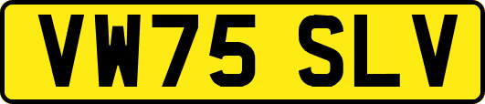 VW75SLV