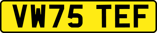 VW75TEF