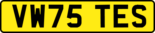 VW75TES