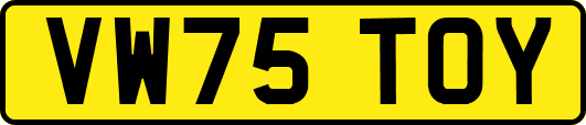 VW75TOY