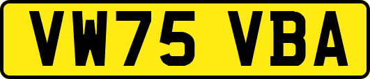 VW75VBA