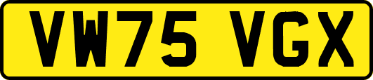 VW75VGX