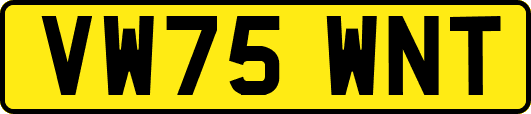 VW75WNT