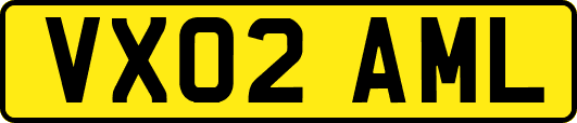 VX02AML