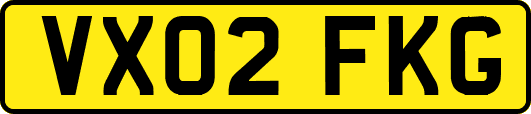 VX02FKG