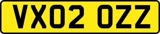 VX02OZZ