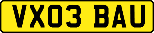 VX03BAU