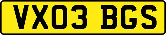 VX03BGS