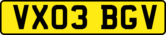 VX03BGV