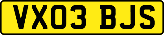 VX03BJS