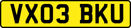 VX03BKU