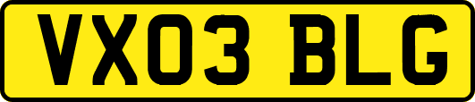 VX03BLG