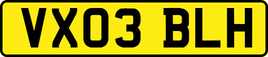 VX03BLH