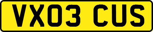 VX03CUS