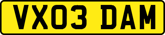 VX03DAM
