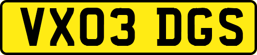 VX03DGS