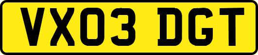 VX03DGT