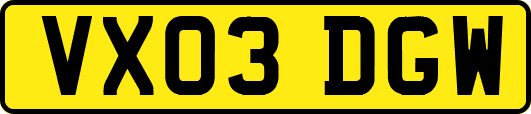 VX03DGW