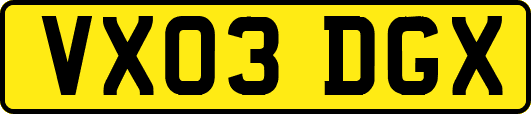 VX03DGX