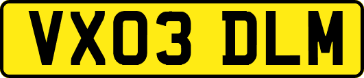 VX03DLM